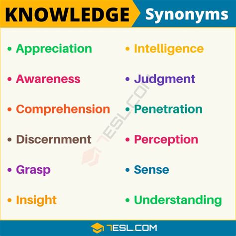 knowledgable synonym|different word for knowledge.